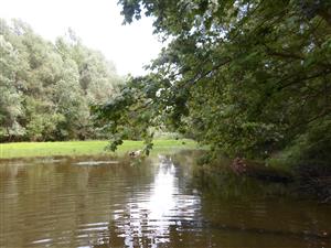 Zaciatok druhy pohlad